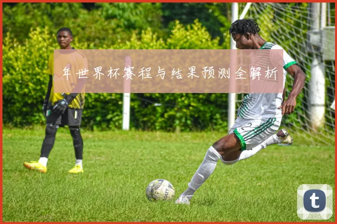 年世界杯赛程与结果预测全解析